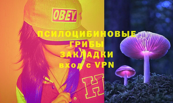 сатива Абдулино