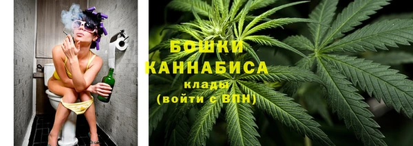 прущие крисы Пересвет